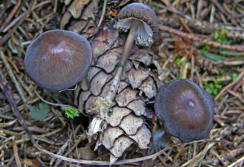 Qualcosa si muove...